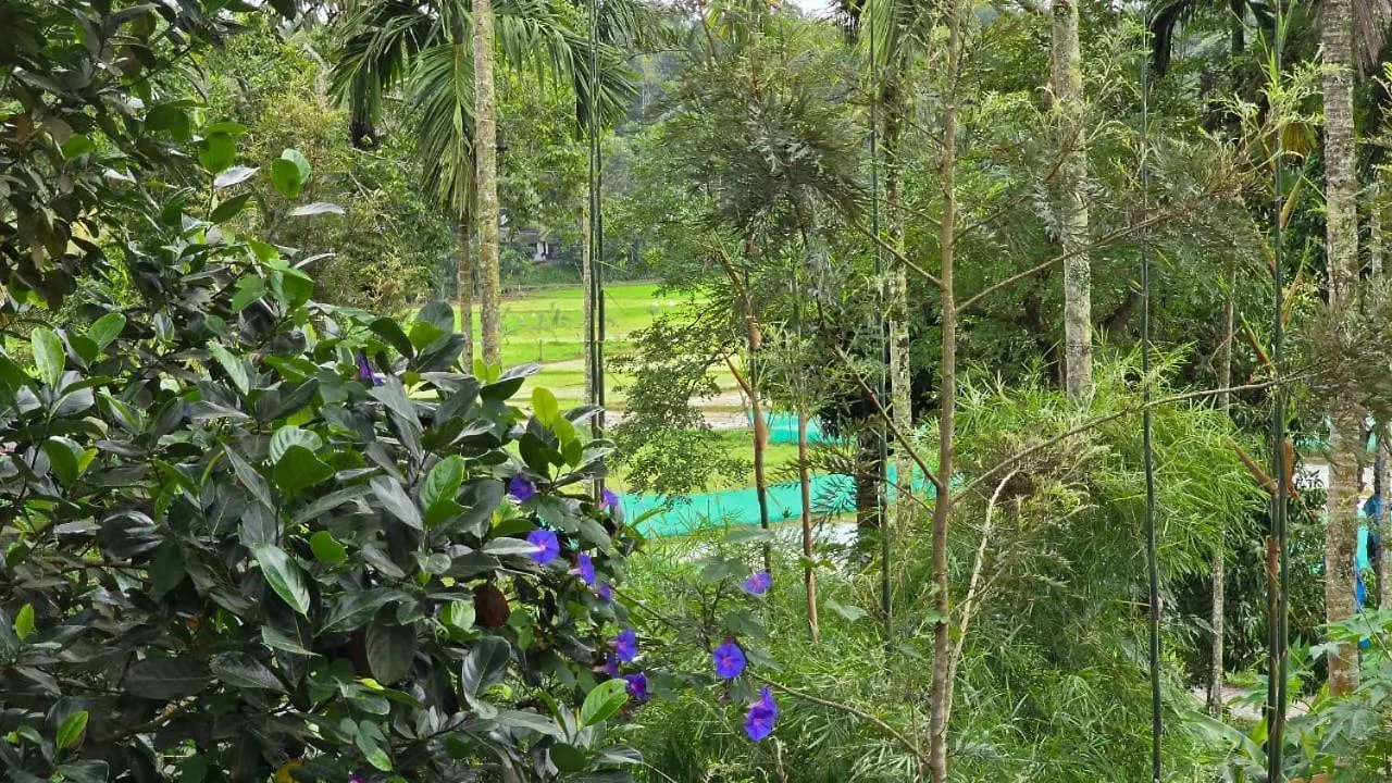 酒店 Green Aura Private Villas 苏丹巴特利 印度