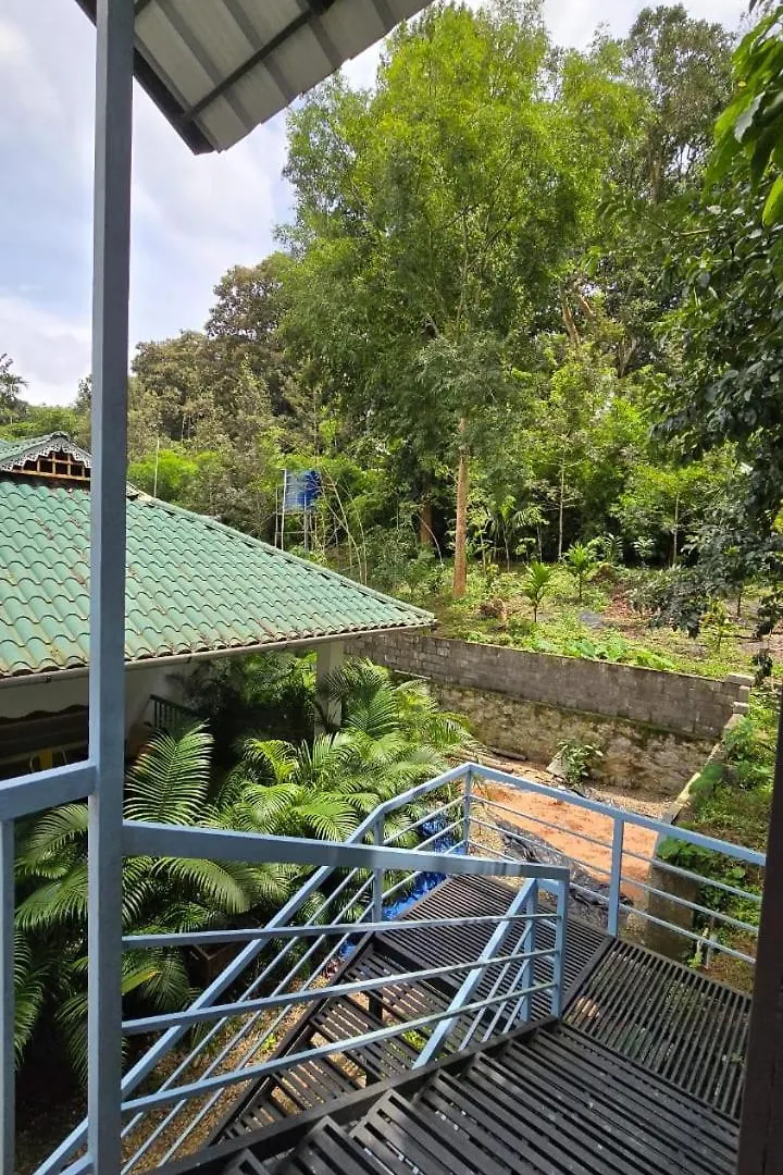 酒店 Green Aura Private Villas 苏丹巴特利 印度